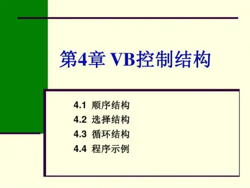 第4章VB控制结构