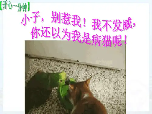 人教版八年级物理下册《机械能及其转化》公开课PPT课件