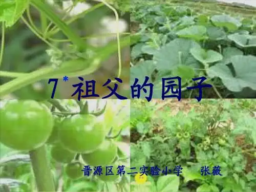 人教版小学语文五年级下册 7_祖父的园子_张薇 ppt课件