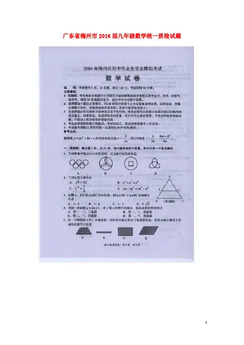 广东省梅州市2016届九年级数学统一质检试题(扫描版)