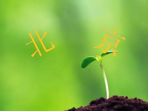 小学语文《北京》课件