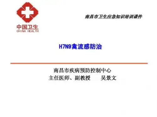 禽流感课件