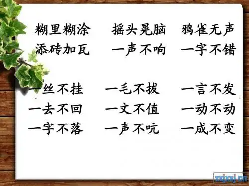 北师大版 二年级下册期末复习 成语