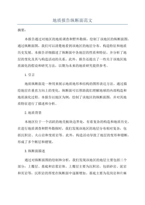 地质报告纵断面范文