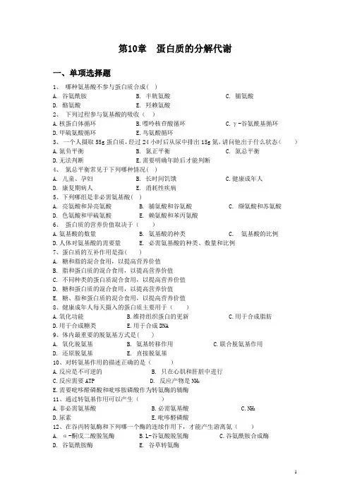 10-蛋白质的分解代谢分解