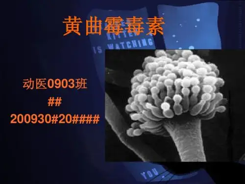 黄曲霉毒素--