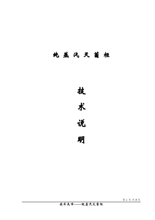 纯蒸汽技术说明