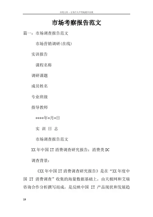 市场考察报告范文