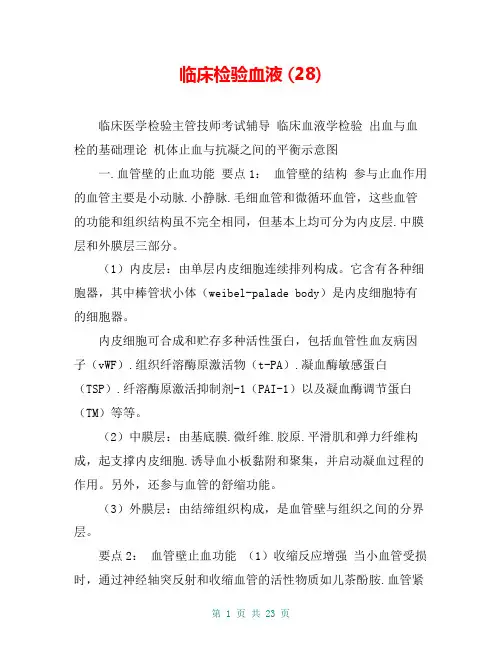 临床检验血液 (28)