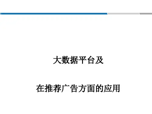 大数据平台及在推荐广告的应用(PPT 20张)