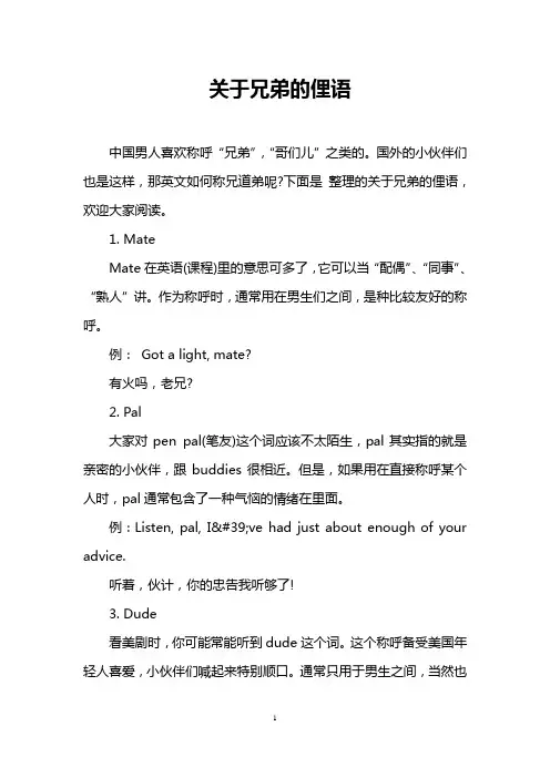 关于兄弟的俚语