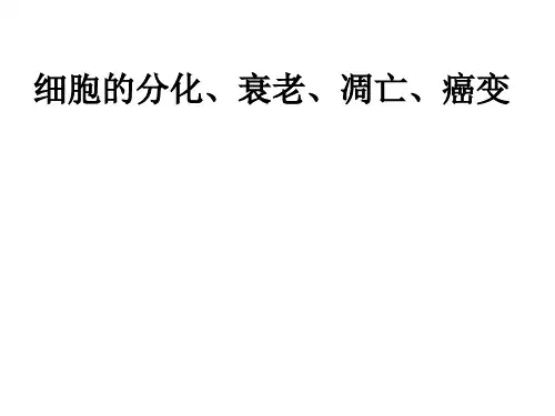 高中生物- 分化、衰老、凋亡癌变