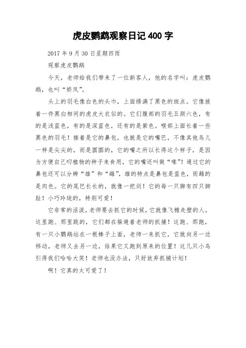 虎皮鹦鹉观察日记400字_作文