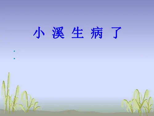 《小溪生病了》课件