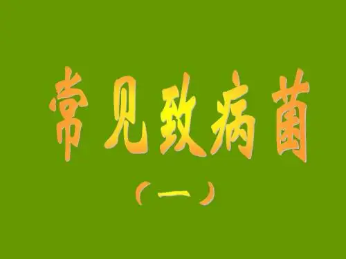 常见致病菌