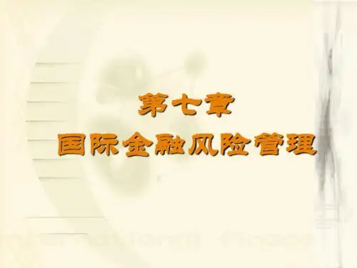 第七章国际金融风险管理