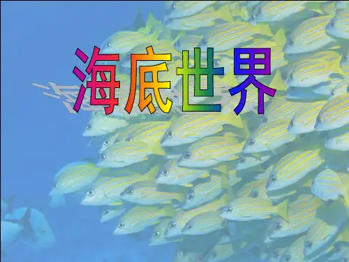 最新版《海底世界》名师公开课赛课课件PPT
