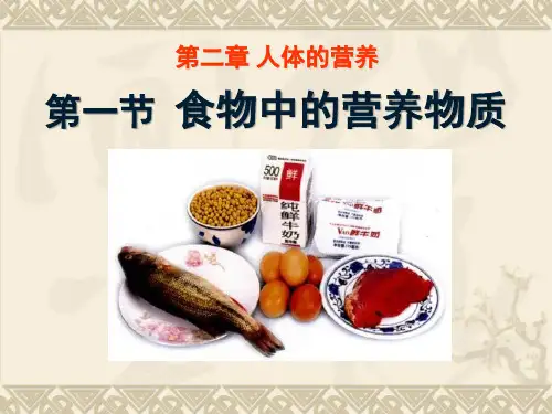 七年级生物下册-食物中的营养物质