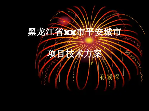 黑龙江省xx市平安城市