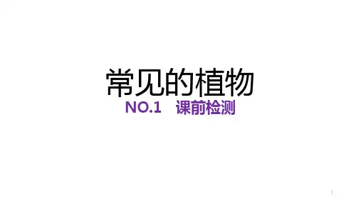 浙教版科学七上:2.5常见的植物