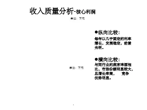 青岛啤酒利润表分析ppt