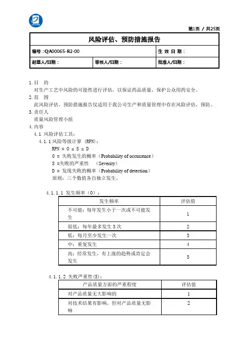 风险评估、预防措施报告