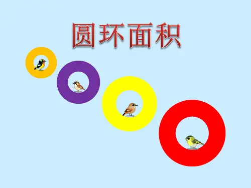 《圆环的面积》PPT课件