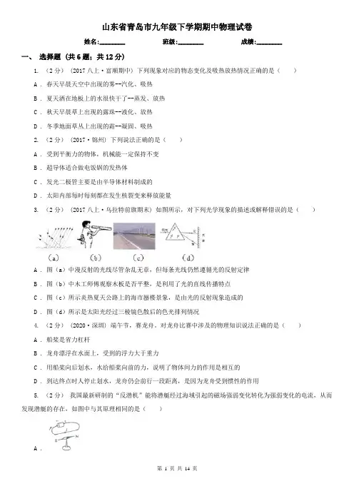 山东省青岛市九年级下学期期中物理试卷