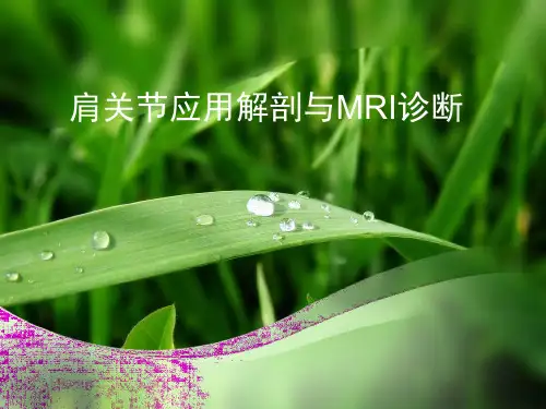 肩关节病变MRI(骨科)