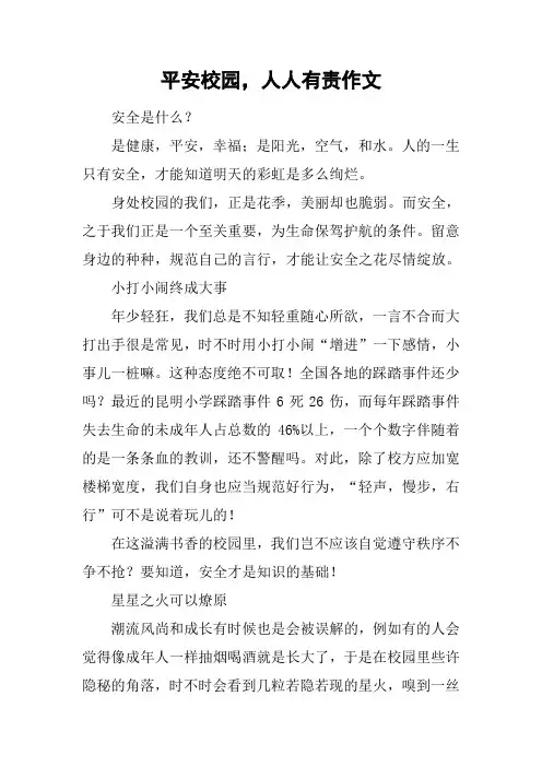 平安校园,人人有责作文