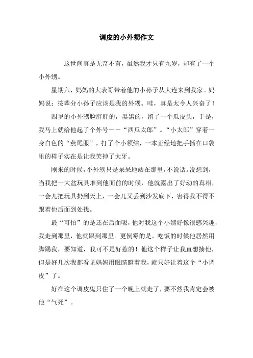 调皮的小外甥作文