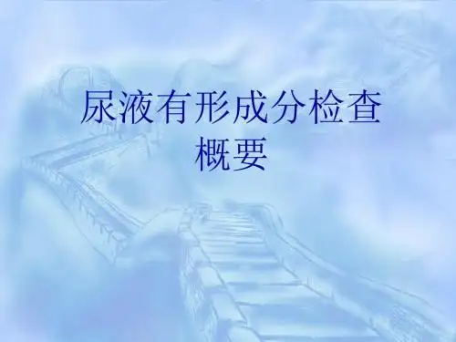 尿有形成分检查概要