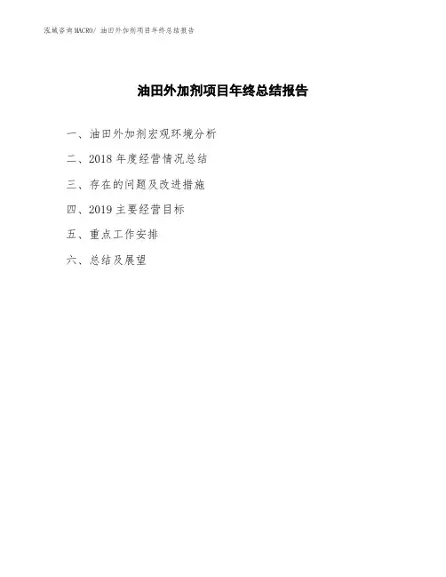 油田外加剂项目年终总结报告