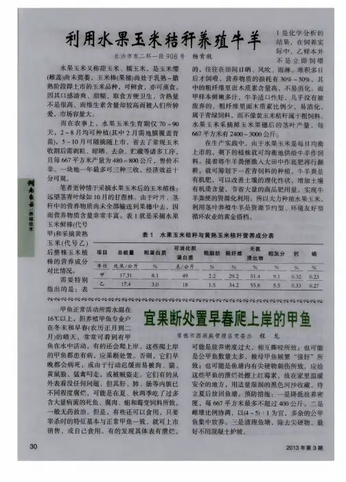宜果断处置早春爬上岸的甲鱼