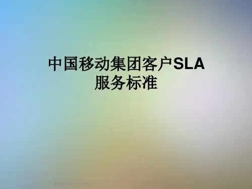 中国移动集团客户SLA服务标准