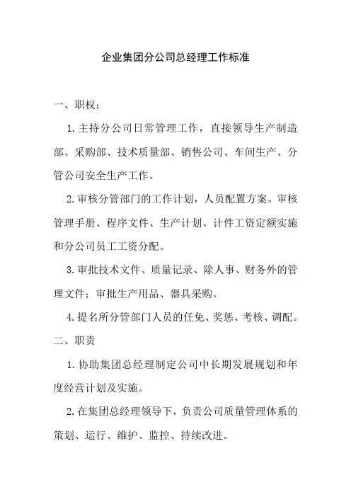 企业集团分公司总经理工作标准