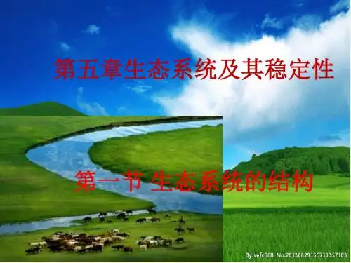 人教版高中生物必修三第五章第一节《生态系统的结构》教学课件