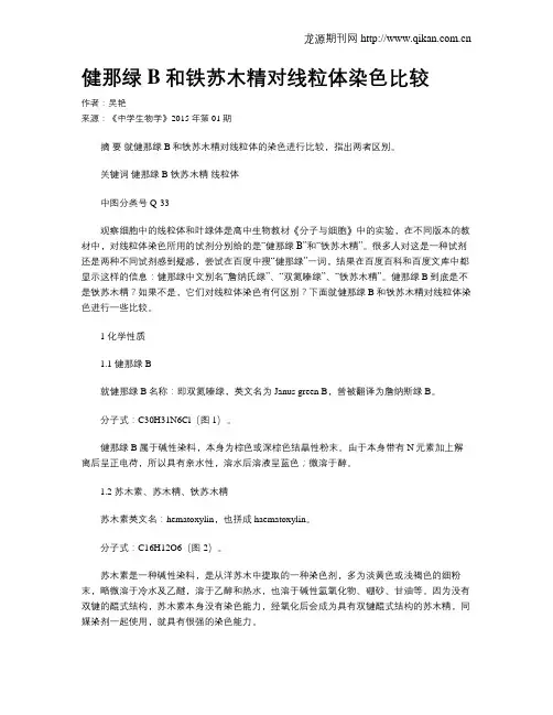 健那绿B和铁苏木精对线粒体染色比较
