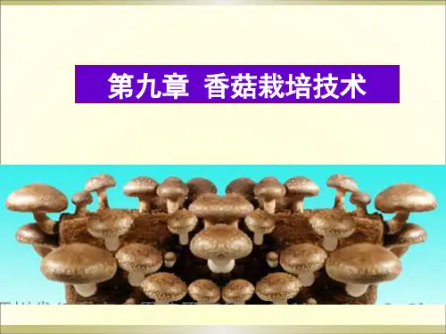 第九章  香菇栽培技术