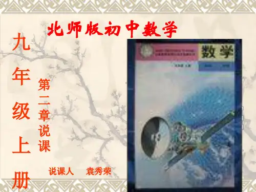 初中数学说课标说教材袁
