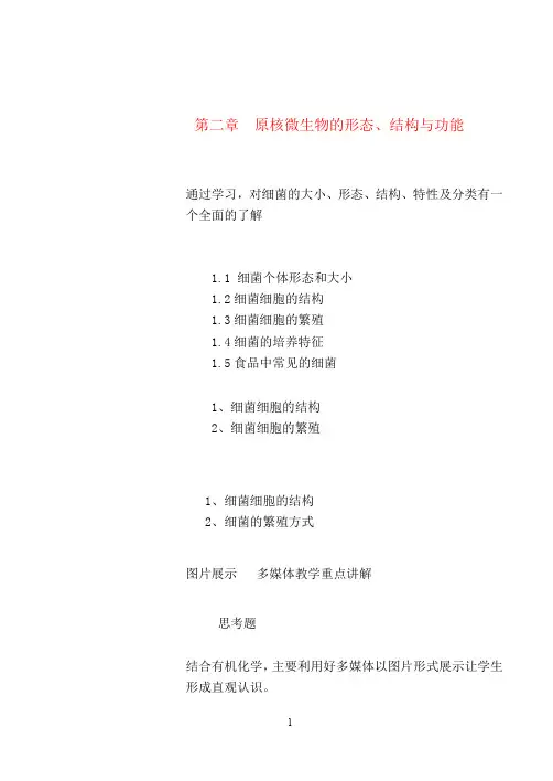 第二章 1细菌