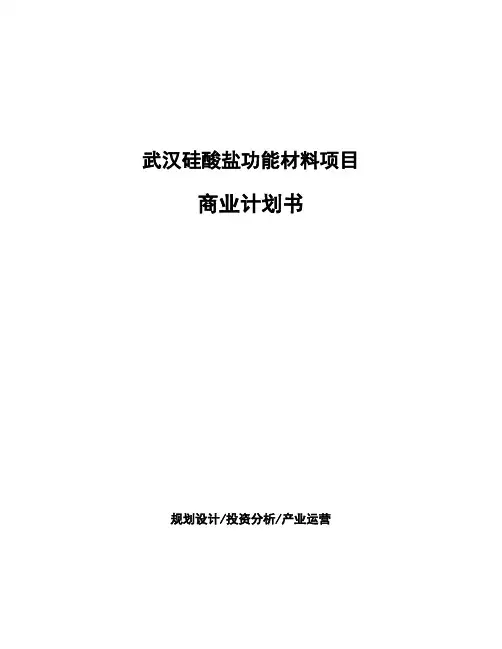 武汉硅酸盐功能材料项目商业计划书