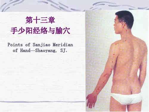 手少阳三焦经穴