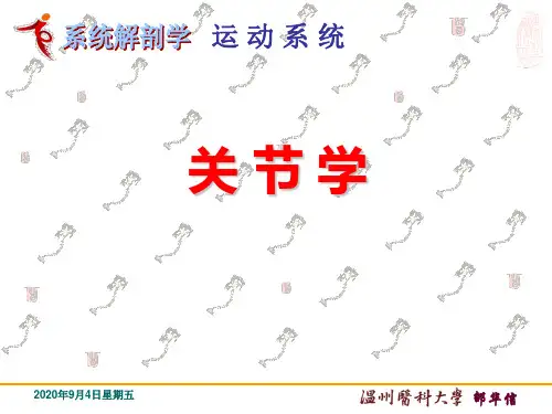 《系统解剖学》实验课件：关节学