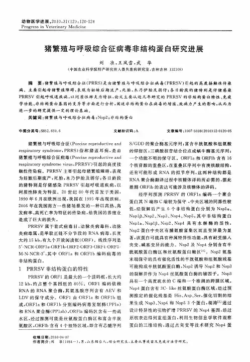 猪繁殖与呼吸综合征病毒非结构蛋白研究进展