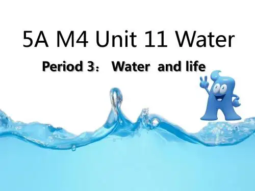 牛津上海版(深圳)英语五年级上册Unit 11《Water》(第三课时)公开课课件