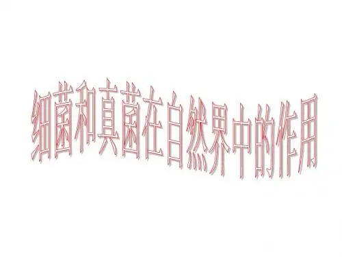 八年级生物细菌和真菌在生物圈中的作用