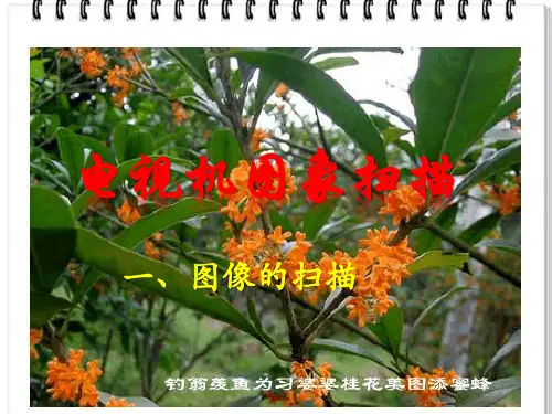 电视机图象扫描(教案)