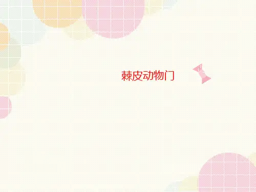 棘皮动物门