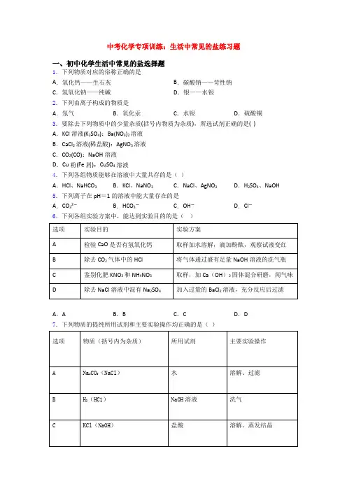 中考化学专项训练：生活中常见的盐练习题